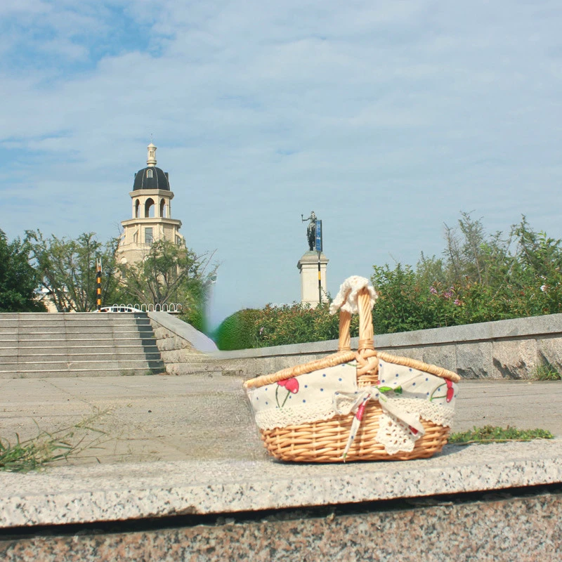 Cesta de mimbre con asa de doble tapa para acampar, cesta de almacenamiento de tejido de sauce hecha a mano para Picnic, organizador de frutas al aire libre: S / YELLOW