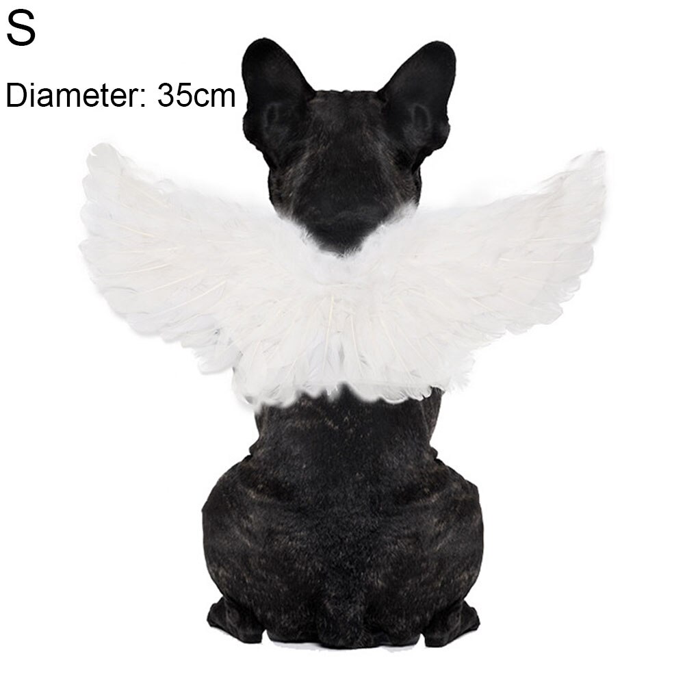 Animal de compagnie chien chat chauve-souris aile araignée Cosplay accessoire Halloween chauve-souris déguisement à capuche Costume tenue ailes belle décoration de noël vêtements: B / M
