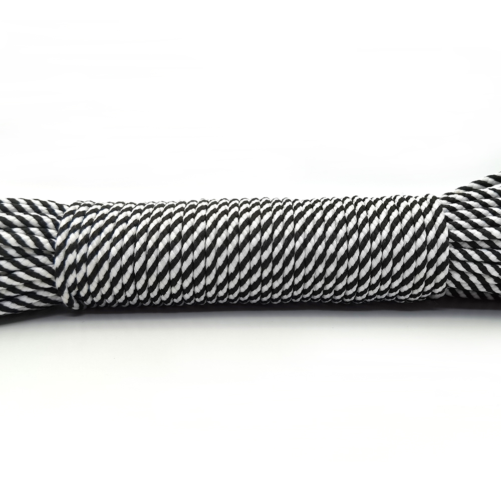 100 metrów 3mm sznur liny spadochron smycz liny do wspinaczka Survival sprzęt bransoletka Paracord maska smycze bransoletka Paracord: 14 / 25ft(8m)