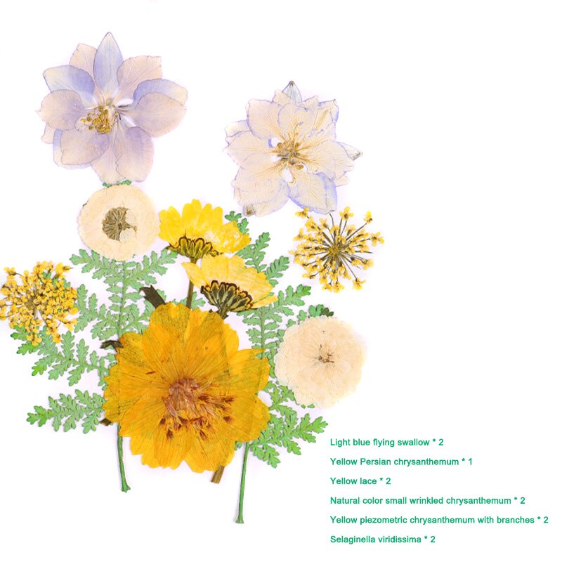 Bra hälsosam pressad blomma blandade torkade blommor gör-det-själv konst blomdekor samling hantverk gör-det-själv: A 17