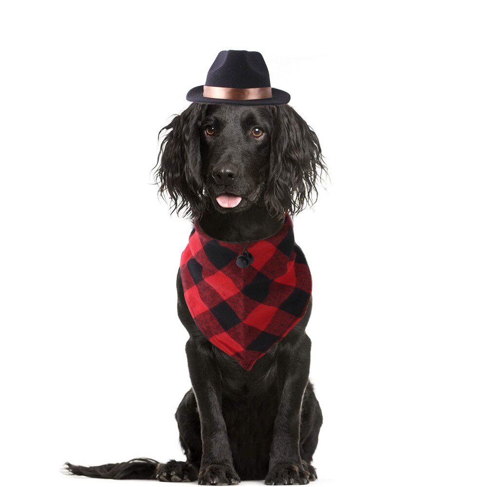 perros accesorios Sombrero de mascota divertido para perro y gato, sombrero de vaquero occidental, accesorio de foto Universal para perro, gorra para Halloween, Navidad, callejera, accesorios para mascotas: B hat scarf A