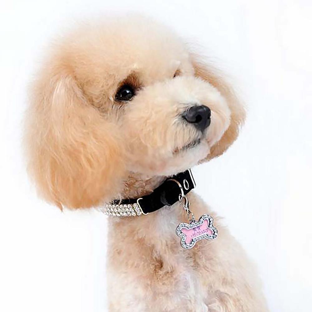 Kæledyr hund id tag mini sød navn adresse vedhæng gør-det-selv rhinestone hund hvalp anti-tabt kort zink legering tag kæledyr halsbånd forsyninger