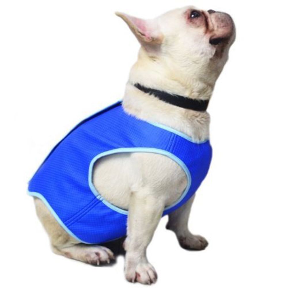 Perro de verano chaleco de refrigeración transpirable de abrigo azul chaleco camiseta ropa refrescante genial ropa para perros ropa para mascotas