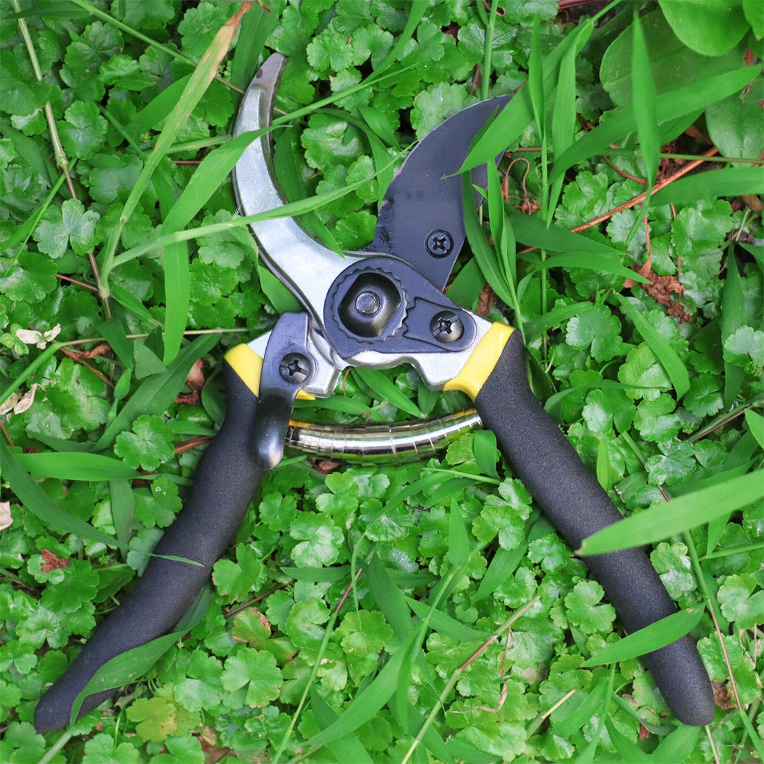 8 Inch Hand Pruner Pruning Shears Heavy Duty Garden Shears Clippers for the Garden Tree Trimmers