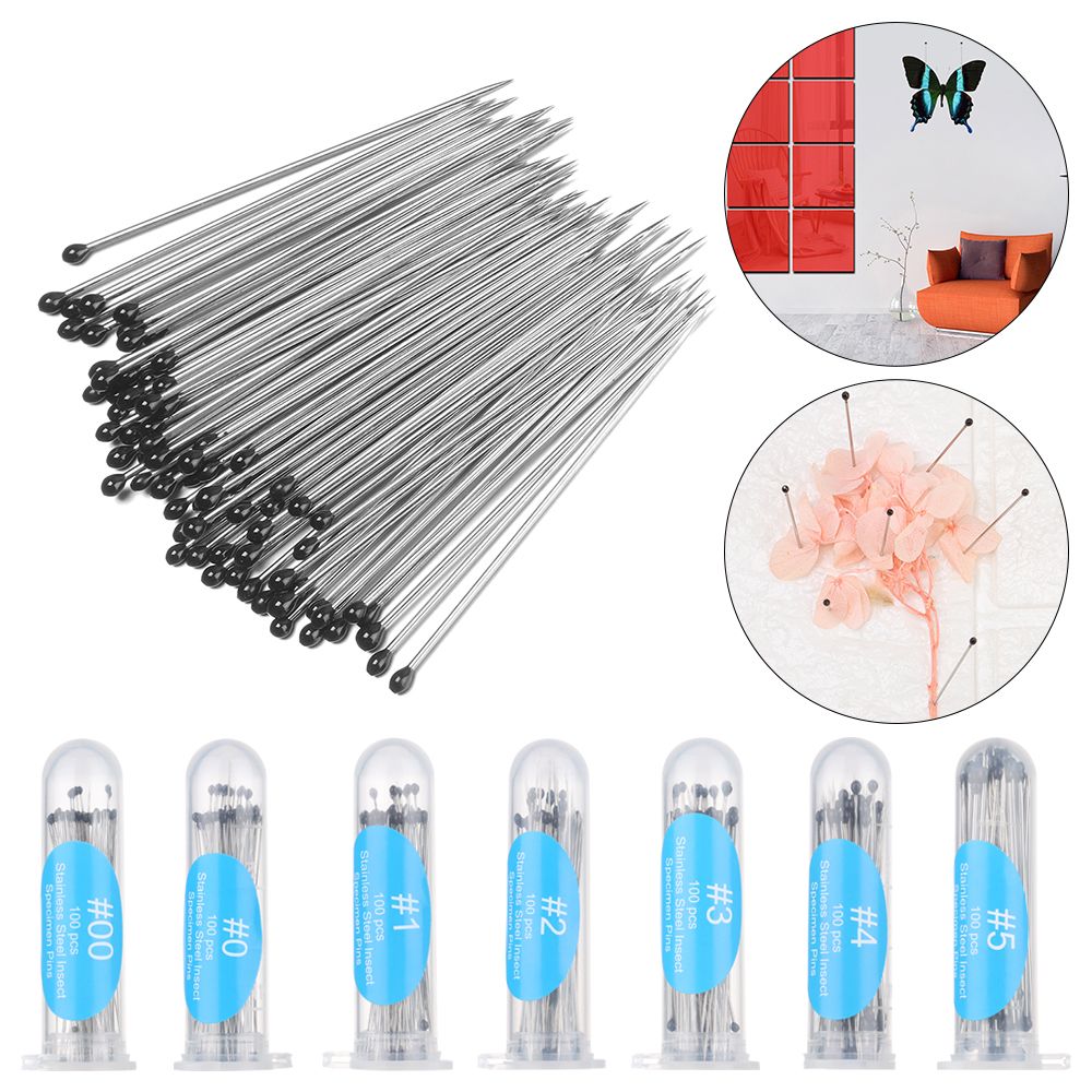 100Pcs Insect Pins Specimen Needle Stainless Steel with Plastic Box for School Lab Entomology Body Dissection Insect Needle