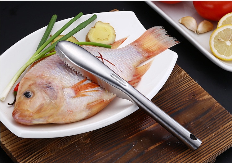 Détartreur de brosse, Gadget de cuisine, dissolvant la peau de poisson en acier inoxydable, détartrant les écailles de poisson, fruits de mer