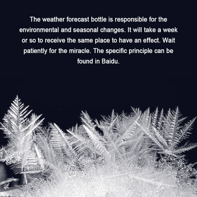 Weather Forecast Bottle Transparant Water Storm Wood Bottle Bracket Barometer Ornament Home Wedding Decor Craft