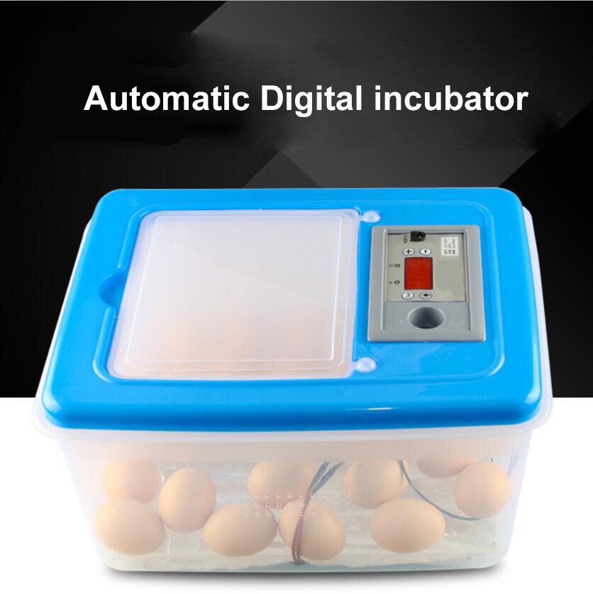 Mini 32 Egg Incubator Poultry Incubator Brooder Digital Temperature Hatchery Egg Incubator Hatcher Chicken Duck Bird Pigeon