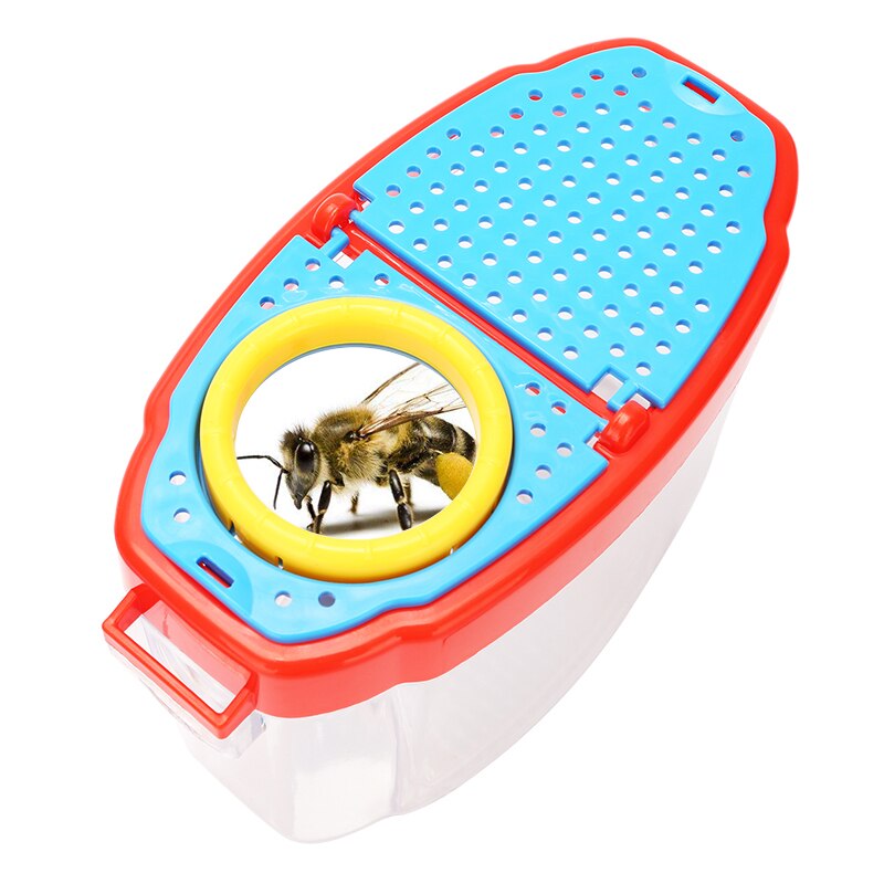 Insect Collection Box Kinderen Biologische Wetenschap Insect Shell Observatie Doos Student Leren Speelgoed Vergrootglas