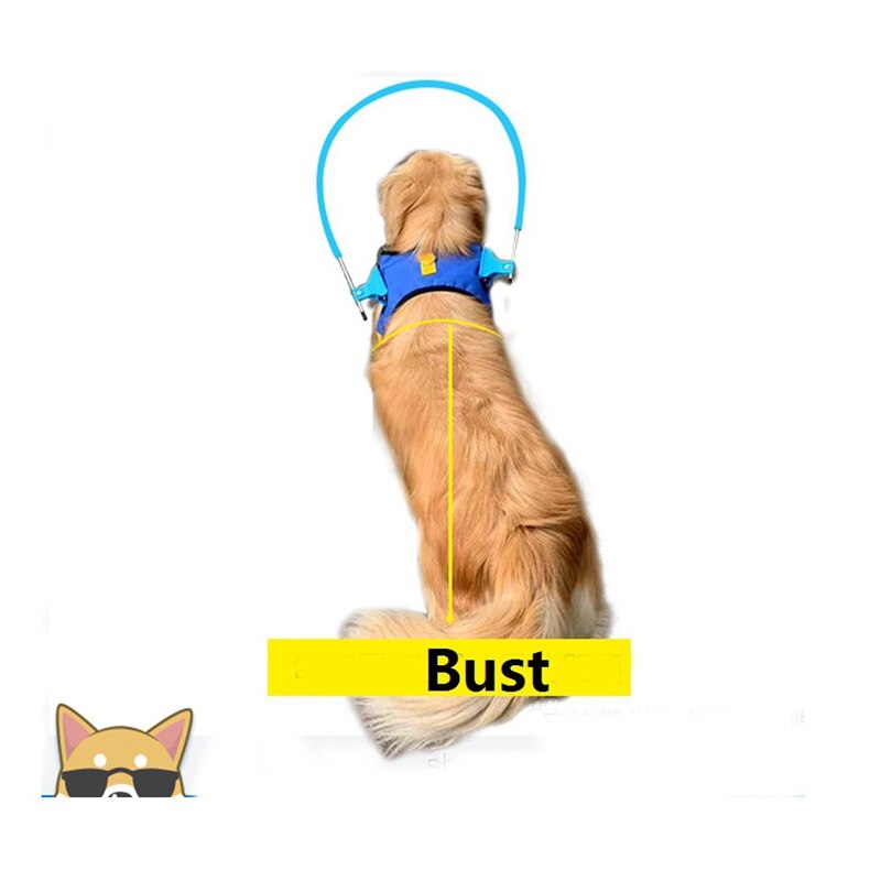 Anello gilet per cani imbracatura Halo sicura per animali domestici per cani ciechi collari protettivi morbidi prevenire la collisione Wall Halo Guide 1 1