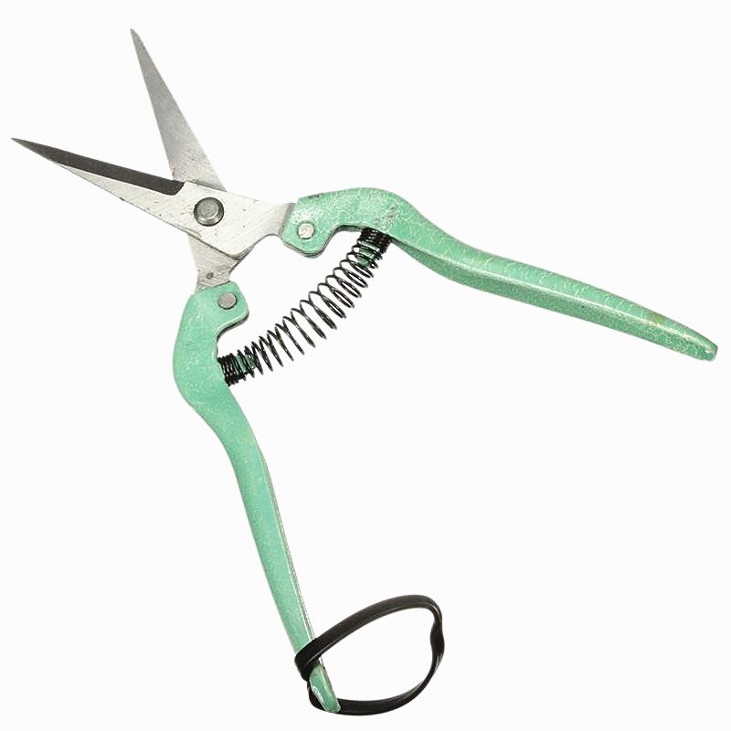 Plant Cut Nursery Garden Branch Cutter Scissor Shear Floristry Grape Secateur Fruit Tree Pruner Pruning Vine Seedle Graft Tool: Purple