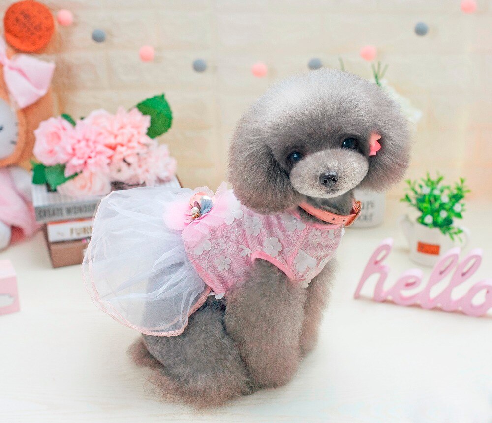 vestido de encaje para perros de compañía a la con estilo de Ballet de ensueño vestido para perros ropa para perros