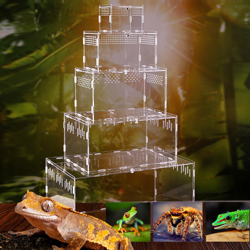 Reptiel Fokkerij Doos Acryl Spider Hagedis Schorpioen Enti &#39;S Acryl Gemonteerd Transparante Insect Ademend Terrarium
