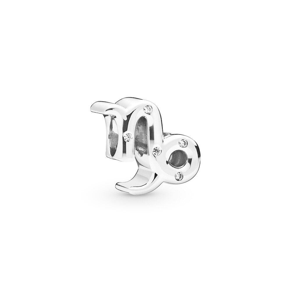 KAKANY 925 Sterling Silver Aquarius Constellation Zodiac Beads for Women Charm Lucky Bracelet DIY 12 Constellations: 798423C01