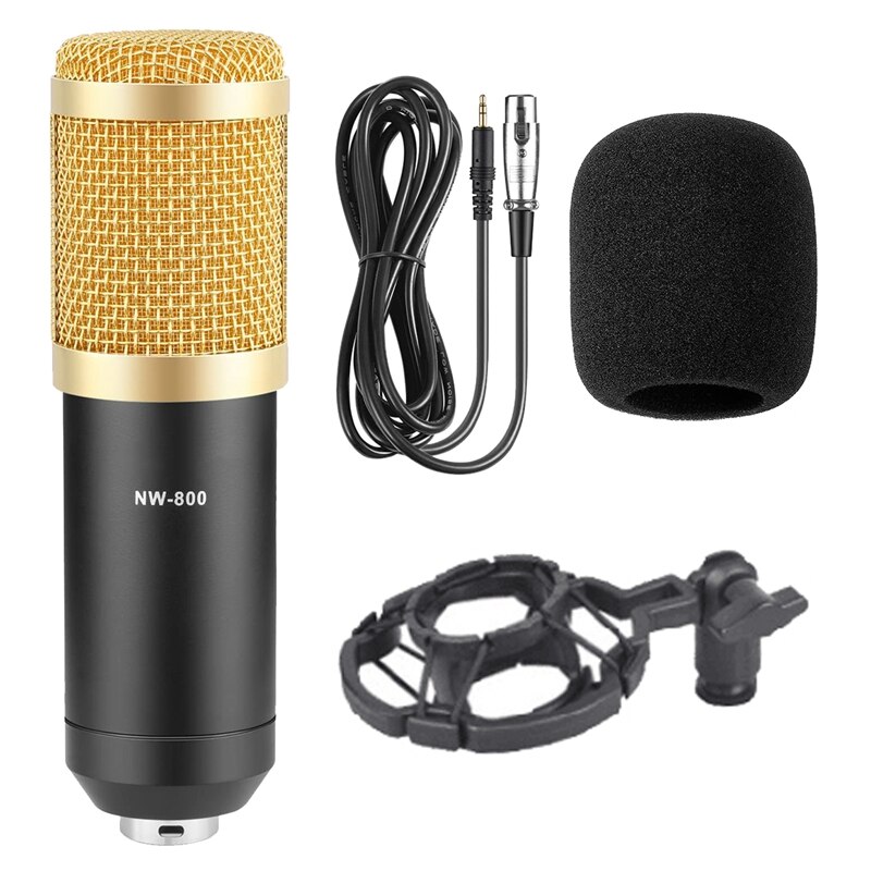 Studio Broadcasting & Recording Microphone Set Including Condenser Microphone