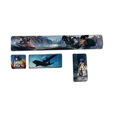 4 Toetsen/Set Spatiebalk Esc Voer Keycap Mechanische Toetsenbord Individualiteit Key Cap Voor Mx Schakelaars Sakura Pinguïn Walvis Set: PUBG