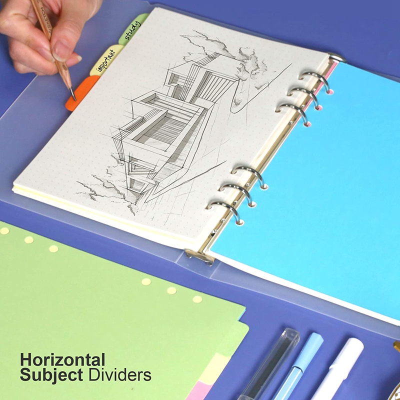 10 Sets A6 Subject Dividers Paper Sheet, Punched File Card Dividers,Tabbed Index Divider for Notebook Insert Planner