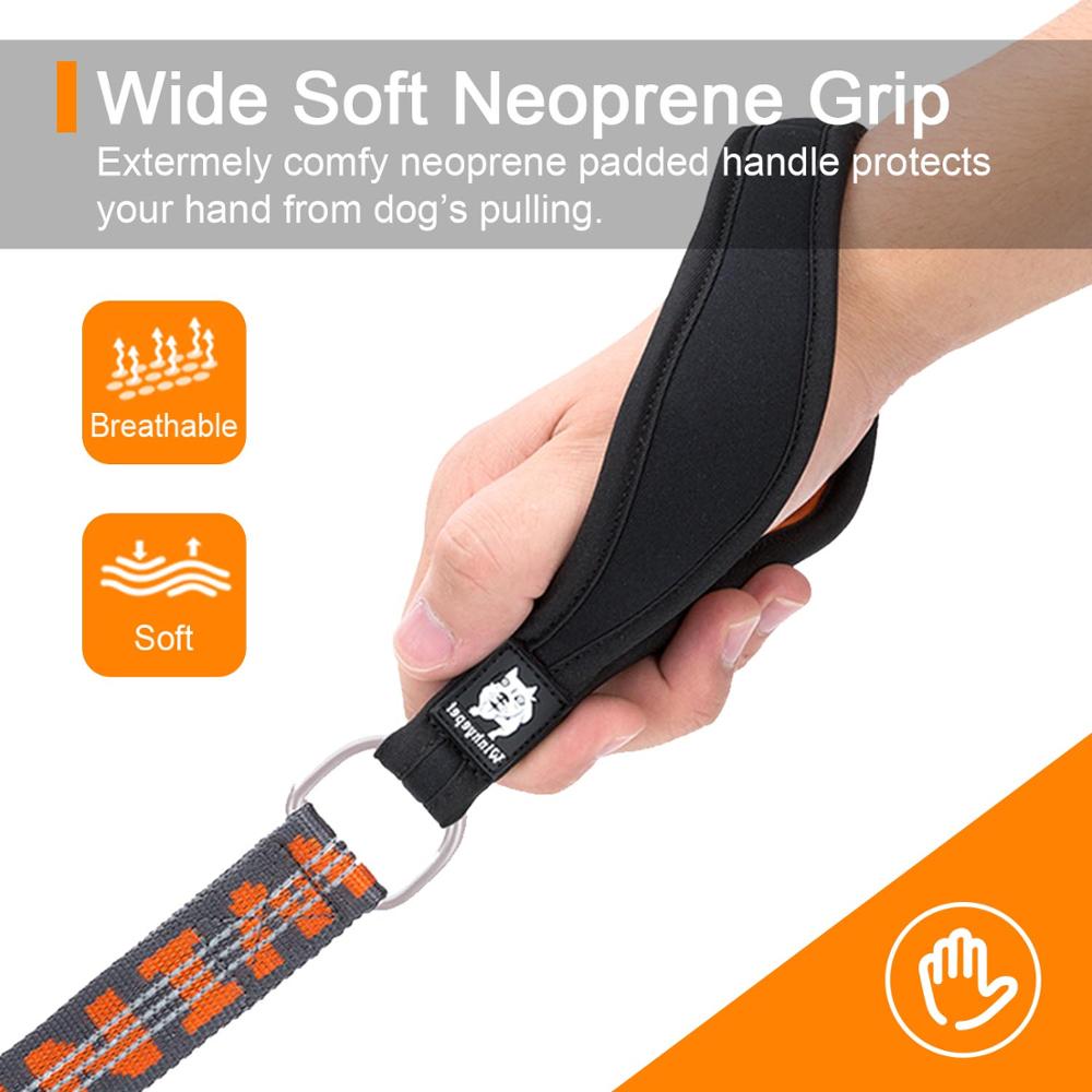 Truelove hondenriemen, duurzame reflecterende hondenriem van nylon, verstelbare trainingsriem met meerdere handgrepen voor honden.