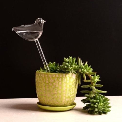 Funktion glas plante blomster vandføder selvvandende fugl plantevander 6 typer: Fugl