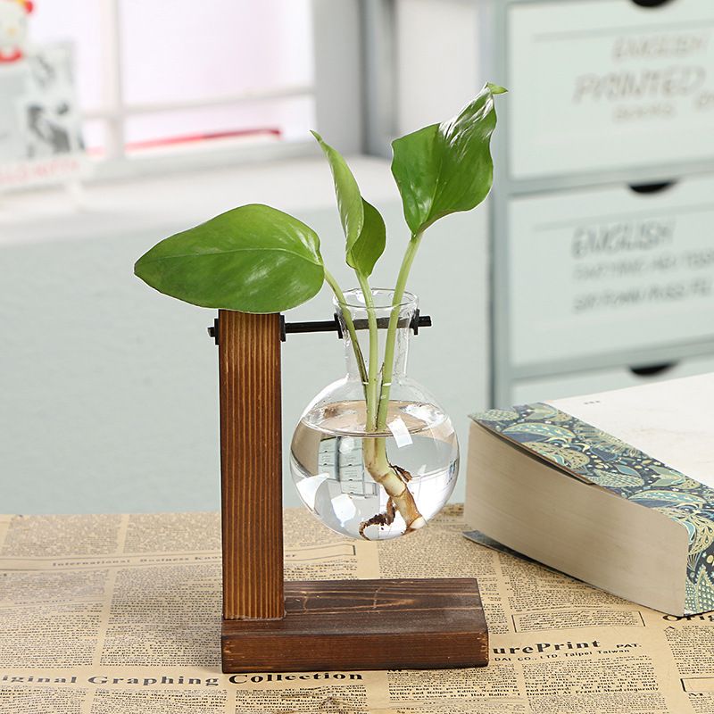 Terrarium hydroponiske planter vaser vintage blomsterpotte gennemsigtig vase træramme glas bordplante planter hjem bonsai indretning: Enkeltflaske