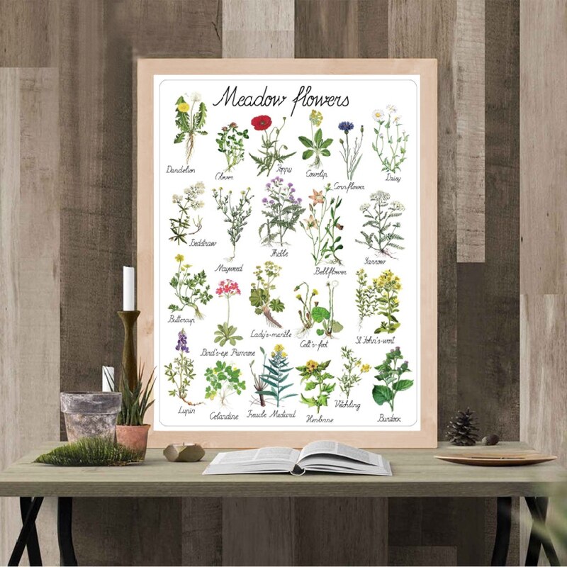 Plant Bloemen Natuurlijke Educatief Poster Botanische Kleuterschool Wall Art Foto Prints Muur Decor Retro Poster Kraftpapier: 21x30cm No Frame