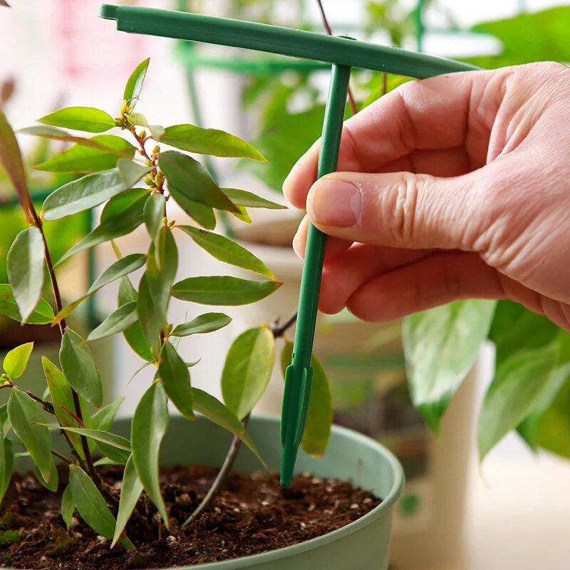 Gartenbau-Blumenhalterungen, Anti-Logging- und Kletterprodukte, Blumenregale, pflanzenspezifische Stützstangen, Blumensäulen