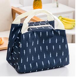 Frische Kühler Taschen Wasserdichte Tragbare Zipper Thermische Oxford Tote Lebensmittel Behälter Niedlich Taschen Für Frauen Bequem Lunchbox Tasche: 6