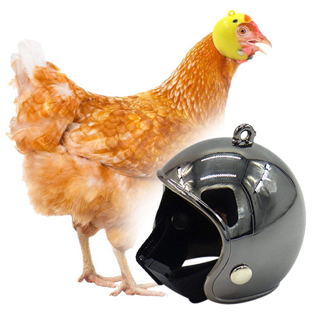 Chicken Helmet Small Pet Hard Hat Bird Duck Quail Hat Headgear Pet Chicken Helmet Bird Head Helmet Pet Supplies 1 Pcs#0521Y30