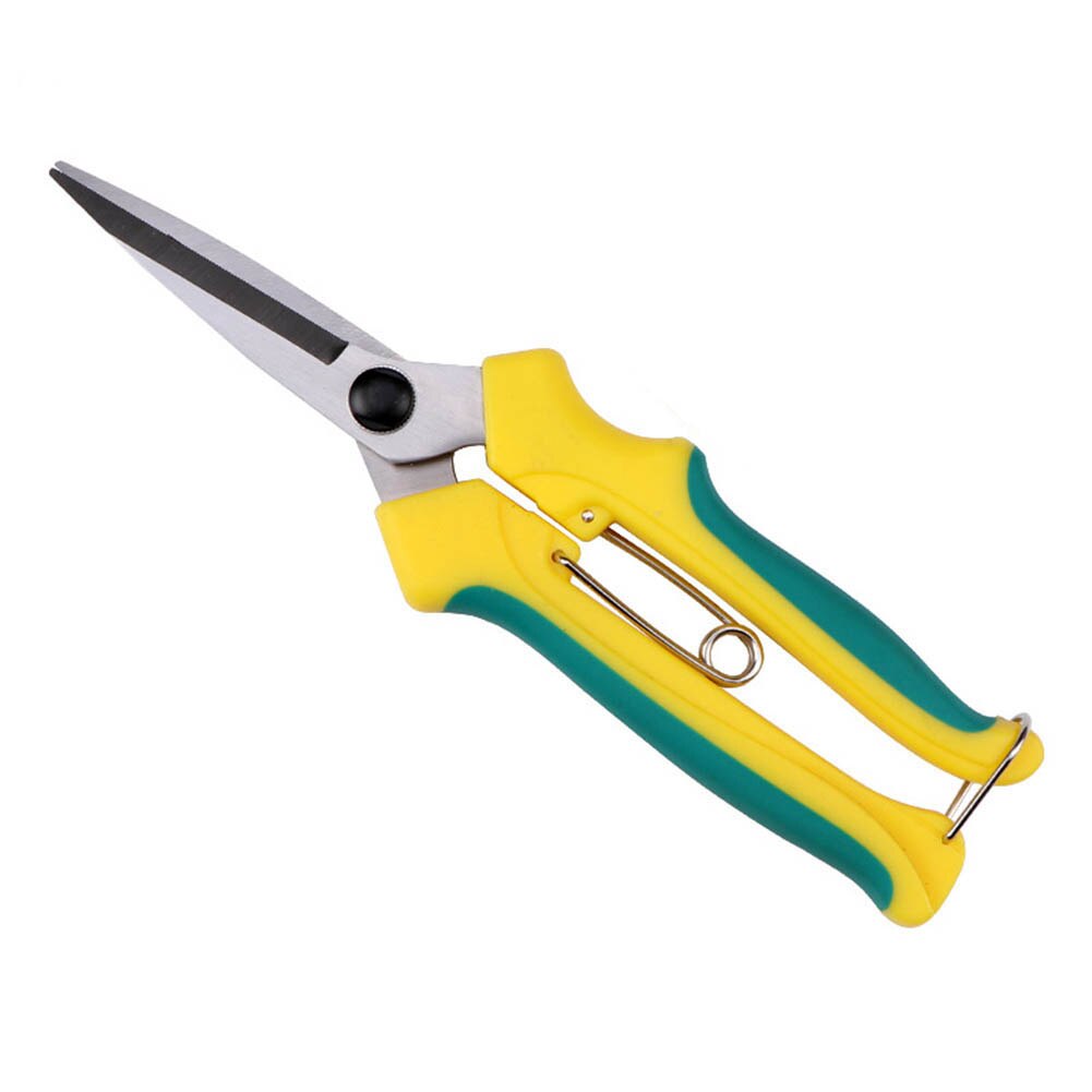 Bonsaï outil bouche droite arbre fruitier ciseaux verger diluer fruits ciseaux outil de jardinage LB88: Default Title