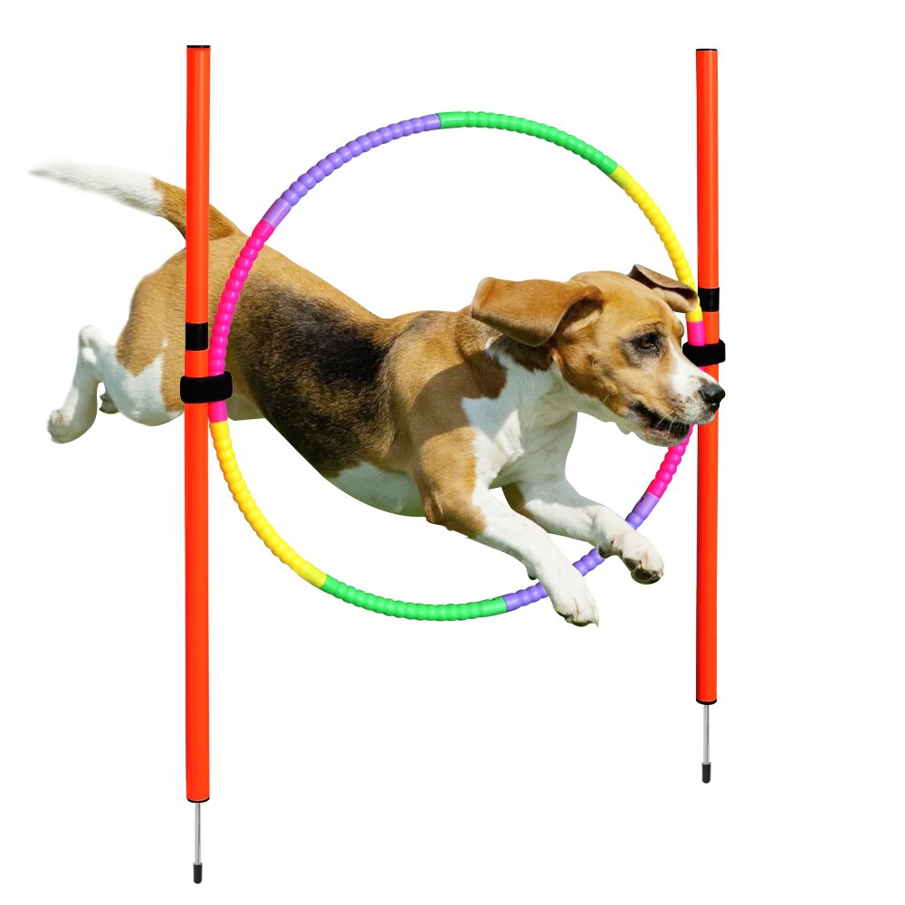Outdoor Dog Training Equipment Portable Dog Exercise Running Training Jumping Stakes Sports Dogs Agility Equipment Pet Supplies: 1