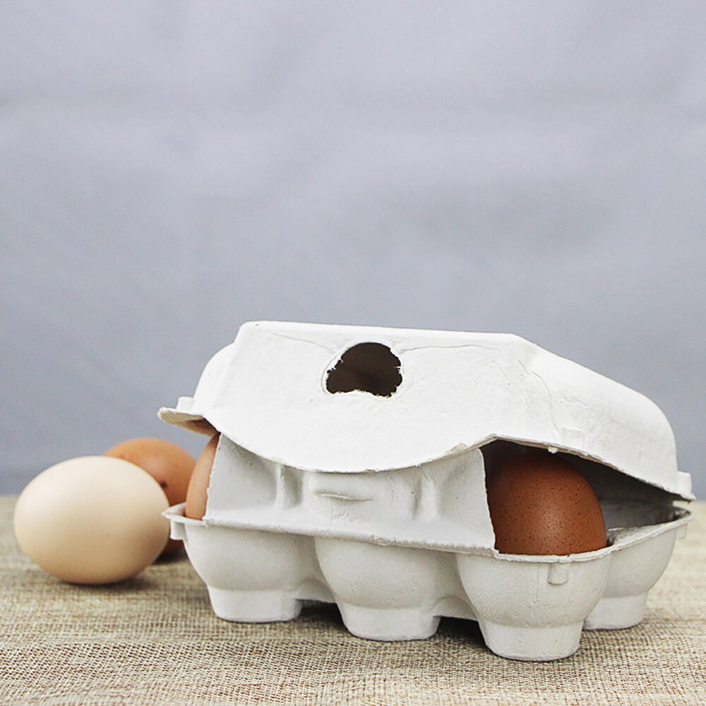 20pcs Egg Holders Ceramic Egg Trays Egg Storage Containers Egg Organizing Cases