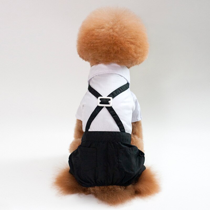 Ropa para perro y gato esmoquin del príncipe, traje con pajarita, abrigo para Chihuahua, Bonito traje de perro para mascotas, vestido de boda, mono, abrigo, S-XXL: S
