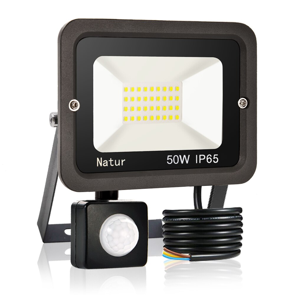 PIR Motion Sensor LED Flood Light 10W20W 30W 50W 100W Outdoor Floodlight 220V Waterproof IP65 Spotlight Garden Wall Street Light: 50W