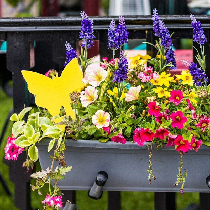 48 Stuks Plug-In Fly Trap Platen Sticker Voor Planten Op Het Balkon Tuin, bescherming Plant Uit De Mug Bladluizen & Ongedierte