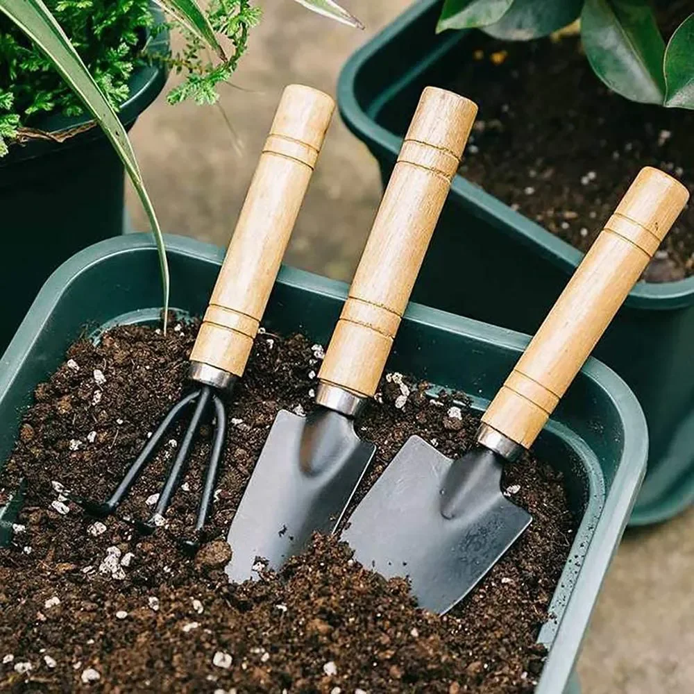 3 Teile/satz Mini Garten Werkzeug einstellen Für Garten Pflanzen Blumentopf Kaktus Gemüse Graben Jäzehn drinnen Kleine Pflanzen Garten Werkzeuge
