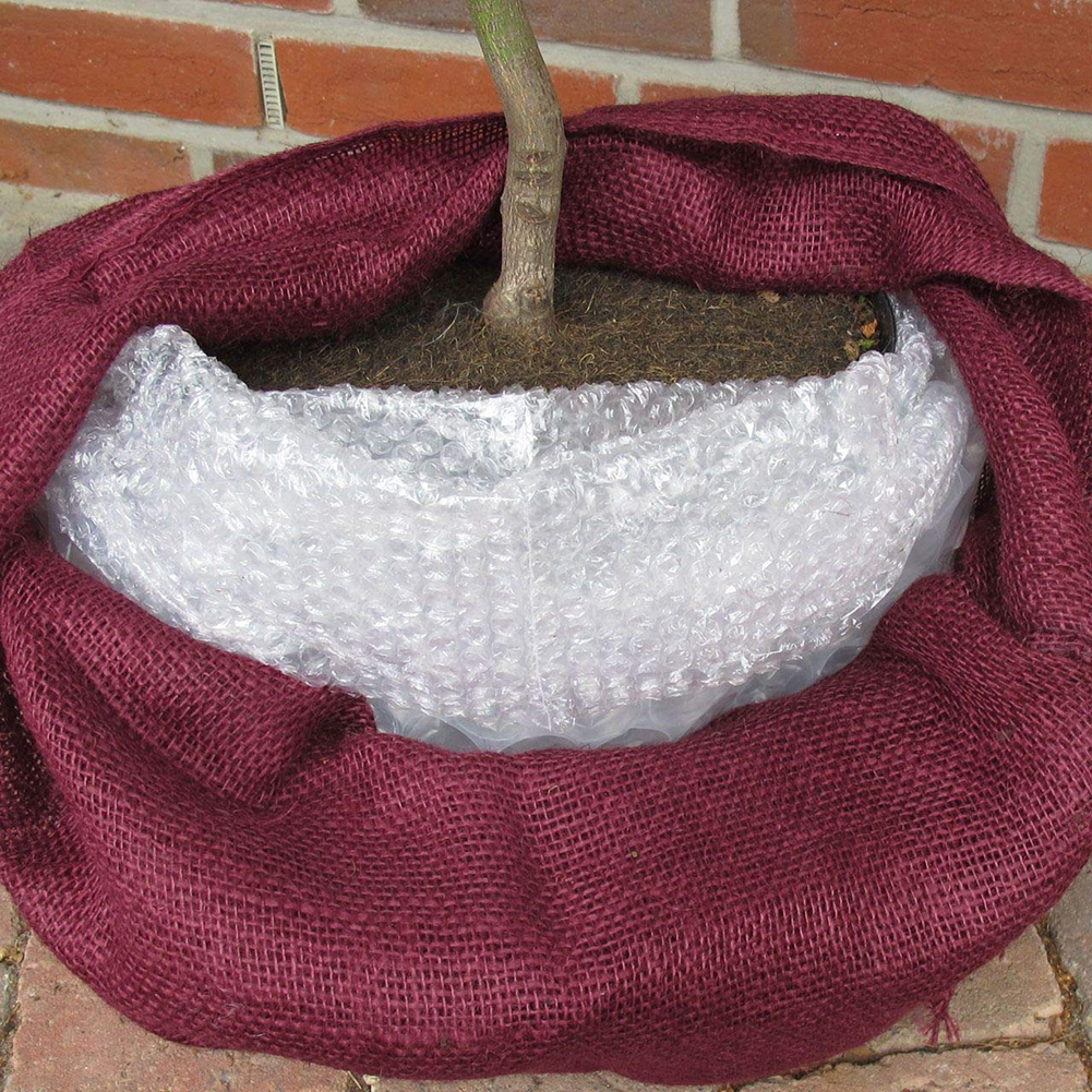 Winter Transparante Beschermende Film 50x300 cm Bubble Wrap Bubble Wrap Antivries Container Plant Koude Pot Verpakking Materiaal