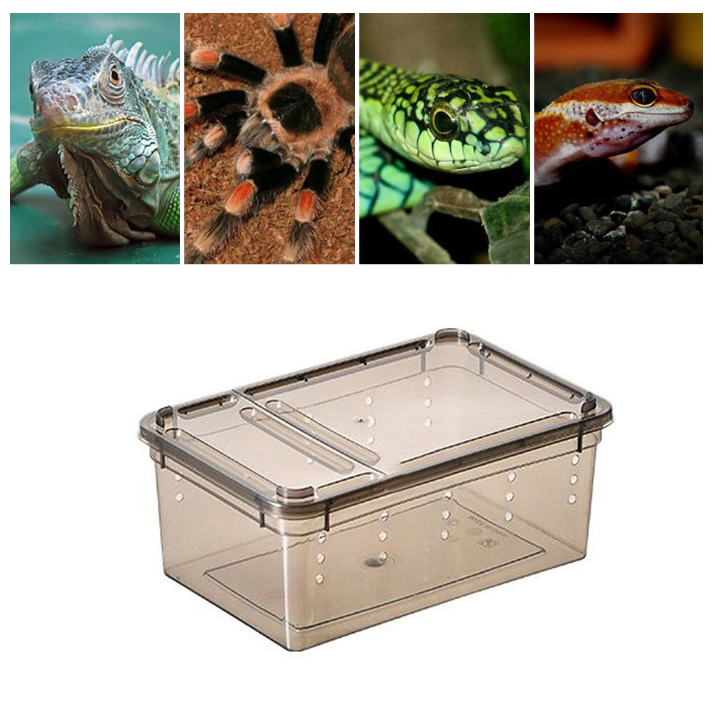 Scorpion Reptile Box Terrarium Food Feeding Transparent PP Transport Lizard Container House Insects For Snake Spide Habitat