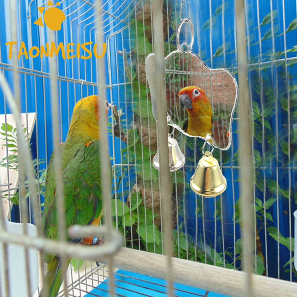 Grappige Vogel Speelgoed Spiegel Leuk Speelgoed Kleine Vogels Papegaai Speelgoed Accessoires Parkieten Parkiet Mini Spiegel Met Klokken