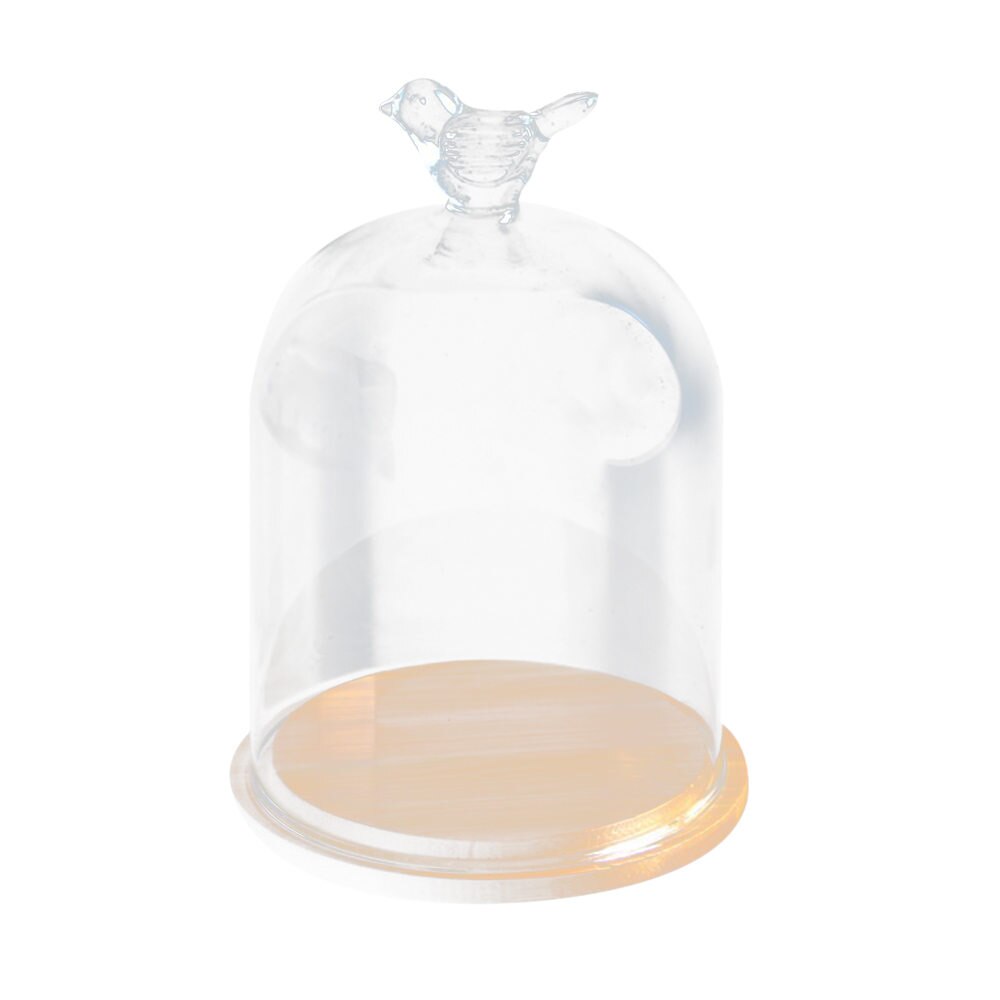 Home Decor Vases Glass Flower Display Cloche Bell Jar Dome Immortal Preservation + Wooden Base Everlasting Flower Glass Cover: Clear