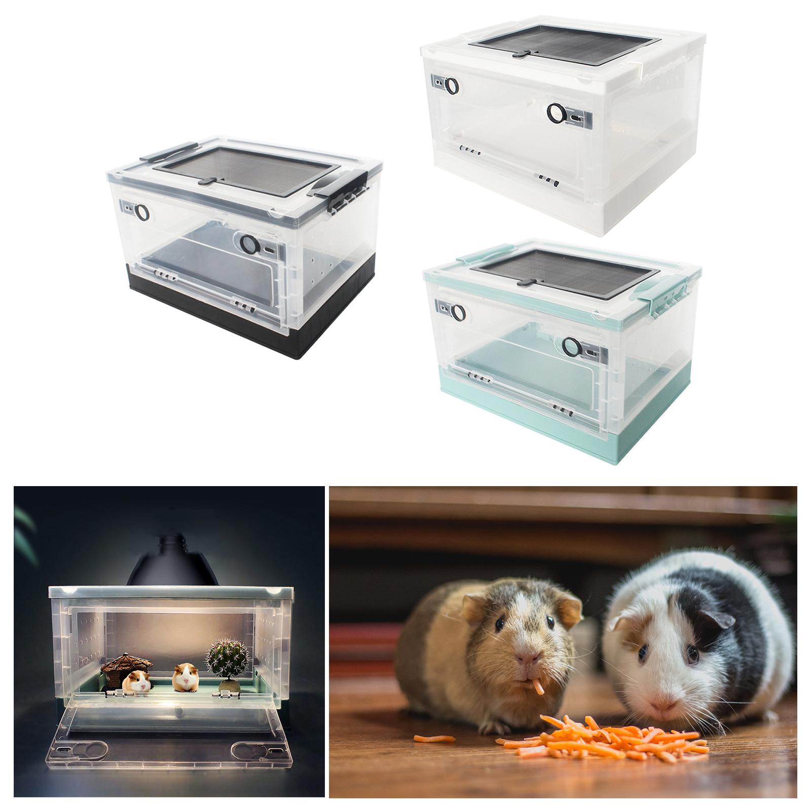 Boîte d&#39;alimentation pliable pour reptiles, pour Hamster, animaux de compagnie, Terrarium, réservoir de Transport pour souris, serpent, lézard, petits animaux, Rat