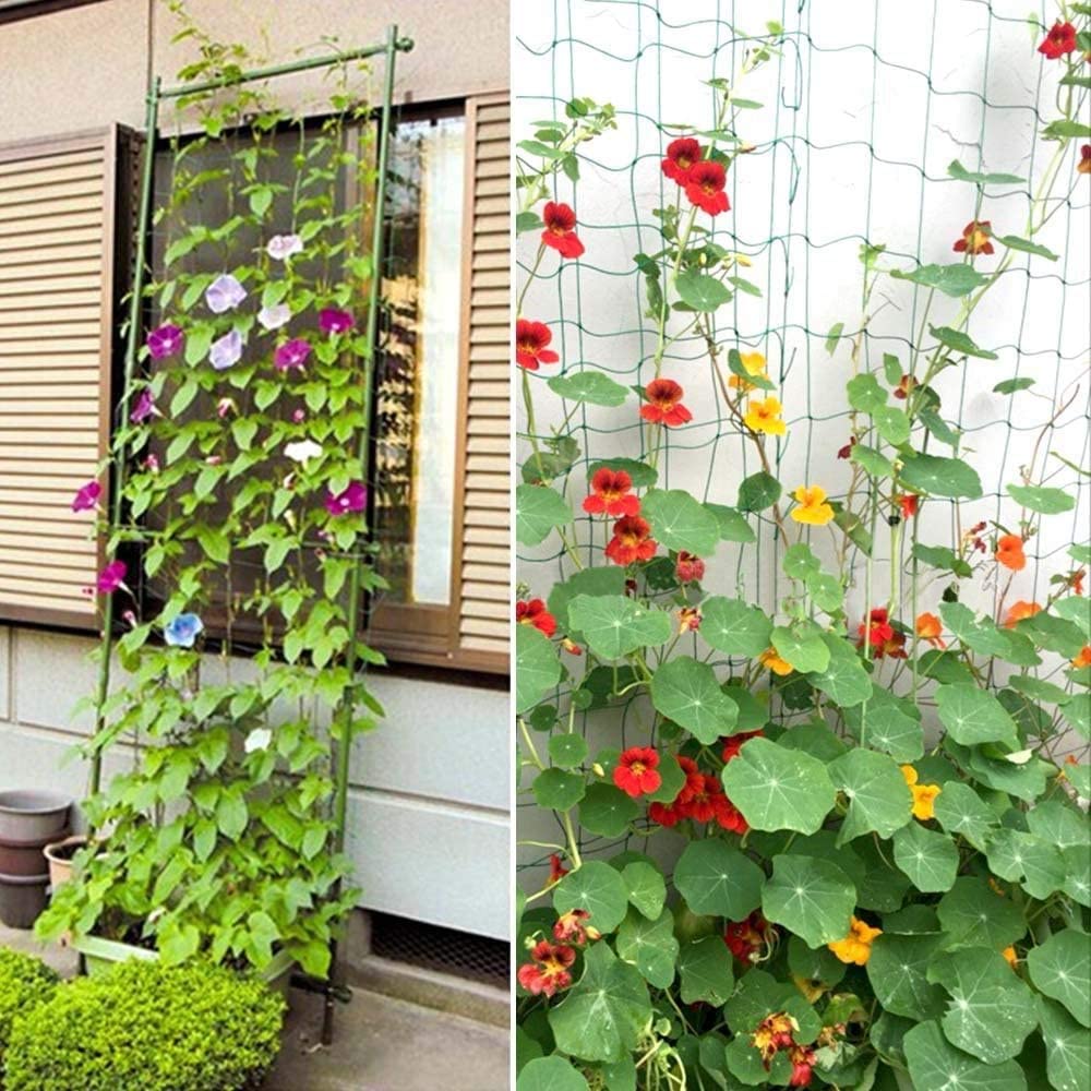 Malla de celosía de nailon, soporte de poliéster resistente, soporte para plantas de vid, escalada hidropónica, accesorios de malla para jardín doméstico