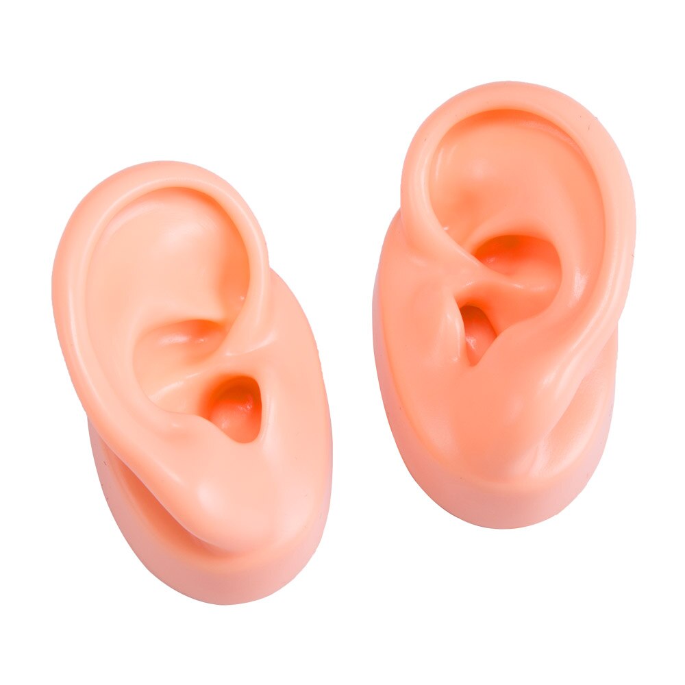 Silicone Ear Model Human Artificial Ear Display for Hearing Aids IEM Earphones Display and Lecturing
