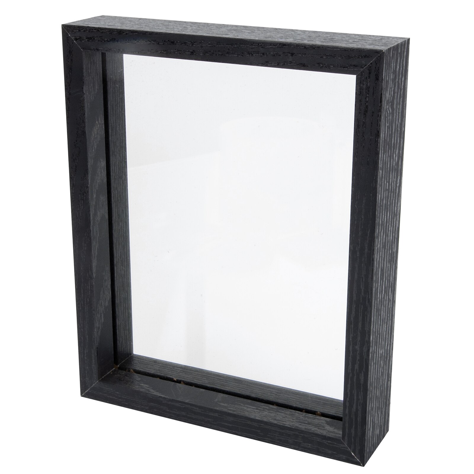 Insect Specimen Display Case DIY Butterflies Ornament Dust-Proof Plant Box