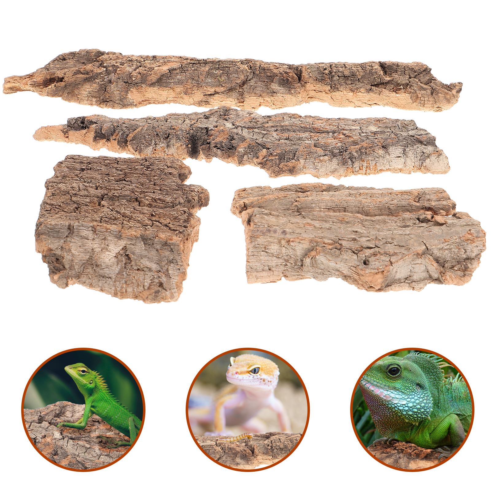 Terrario plano de corteza de corcho Natural, decoración de fondo para tanque de agua, decoración de corteza de árbol trepador de corteza de reptil para mascotas, 4 Uds.