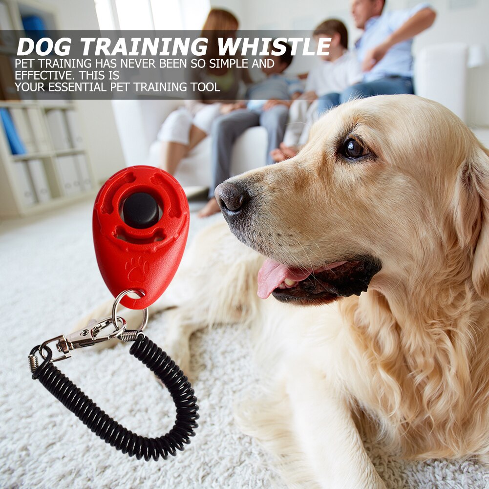 Correa de policarbonato para perros, accesorio de entrenamiento para perros y mascotas, Perro inteligente, 1 unidad