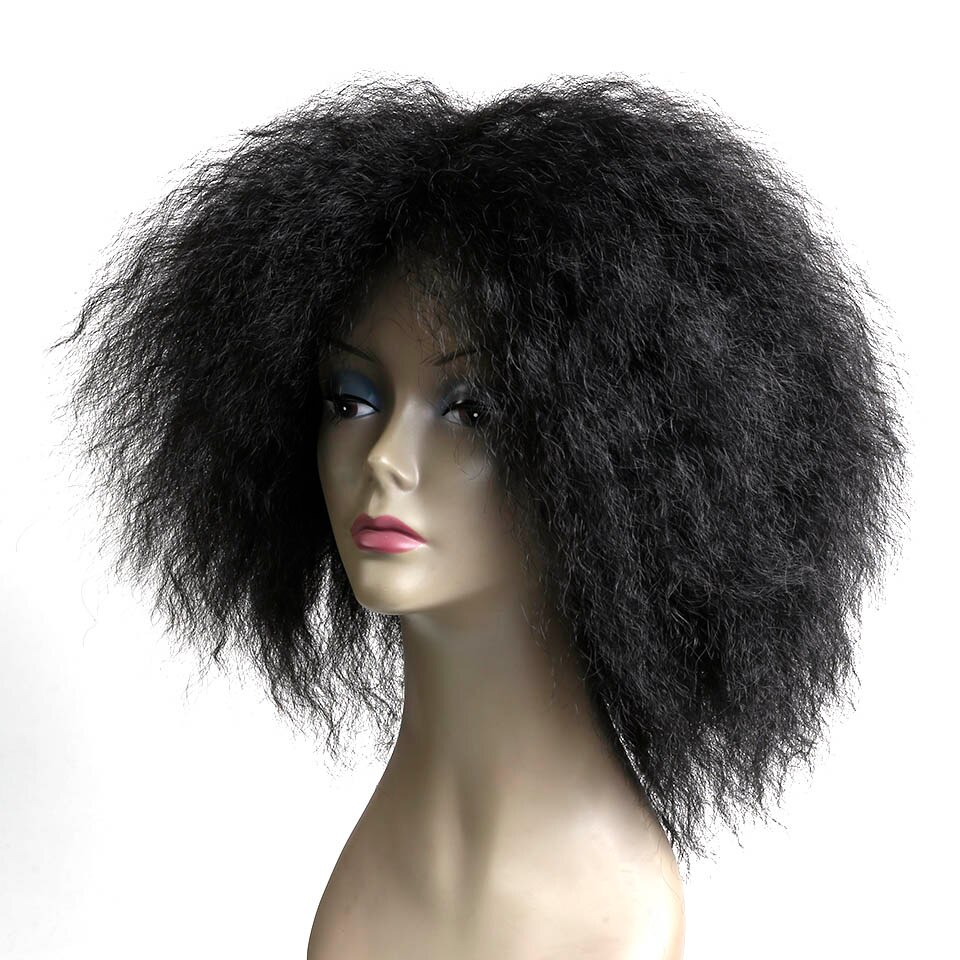 WTB Natural Short Afro Kinky Curly Synthetic Wig for Women High Temperature Fiber Wigs