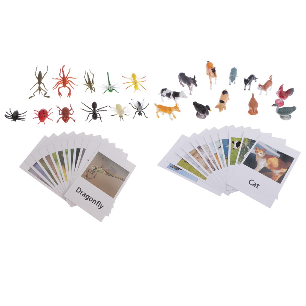 24Pcs Animals Model Card Homeschool Group Of Animals Science Naming Card A+C