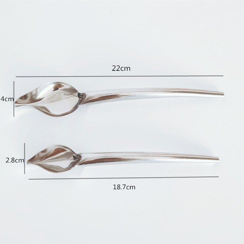Decorating Spoon Multi-use Precision Chef Culinary Drawing Spoons For Decorating Plates，2 Pieces