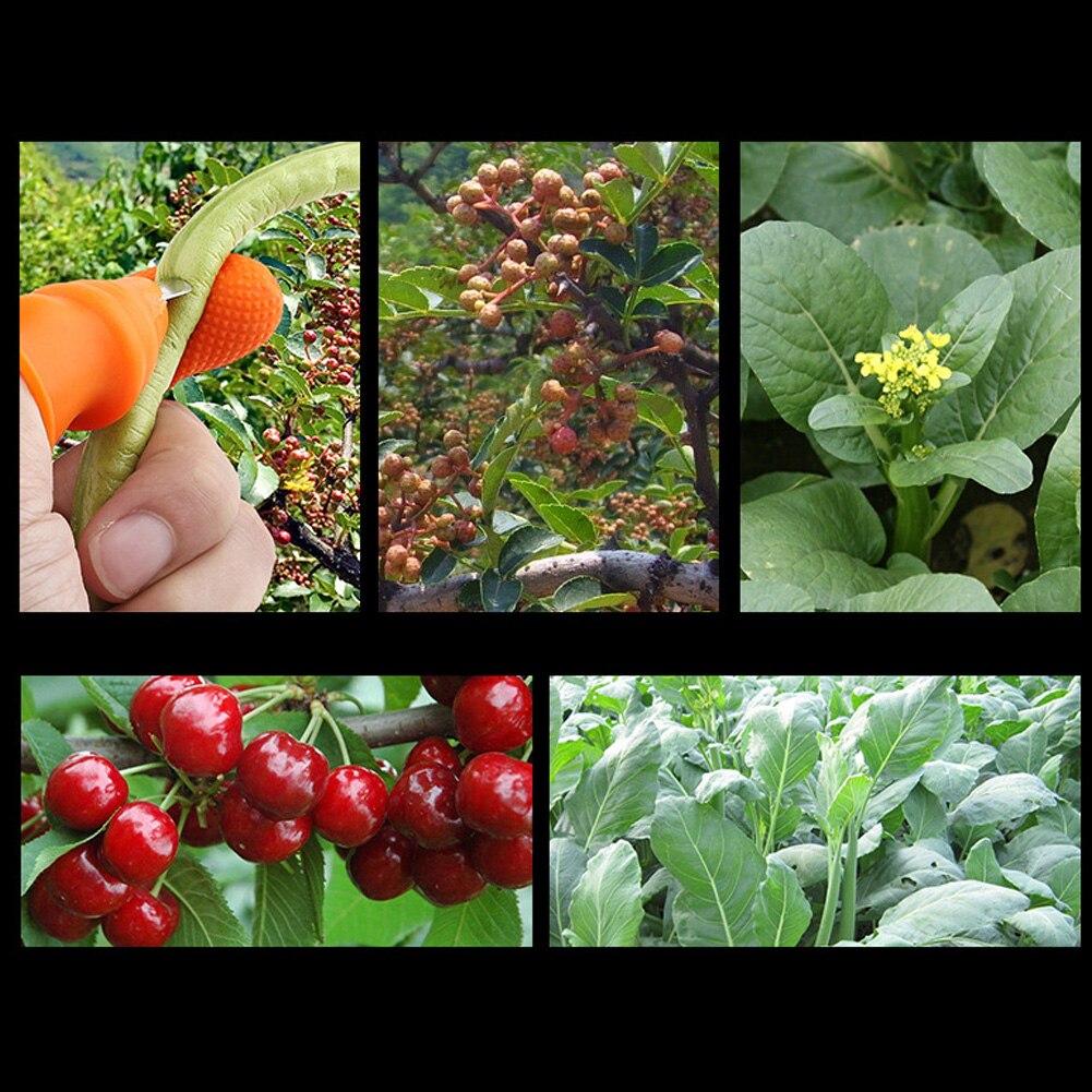 Silicone Thumb Cutter Separator Vinger Gereedschap Plukken Apparaat Voor Tuin Oogsten Plant Tuinieren