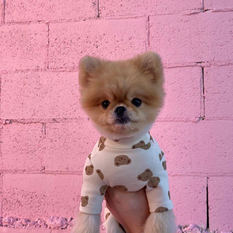 Hond Kleren Chihuahua Hond Winter Kleding Hond Pyjama Hond Jumpsuit Yorkshire Terrier Hond Kerst Kleding Kleine Beer